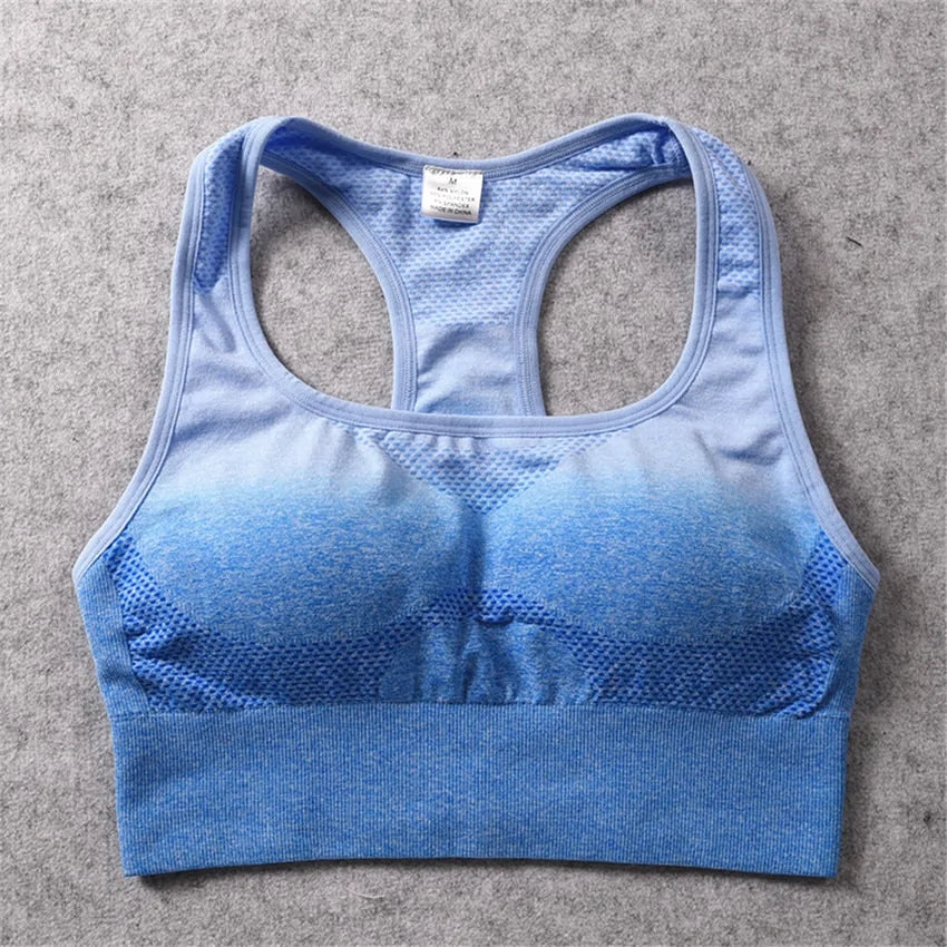 Luxe Aura Ombre Sports Bra Top