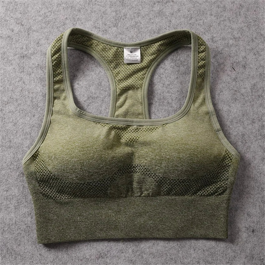 Luxe Aura Ombre Sports Bra Top