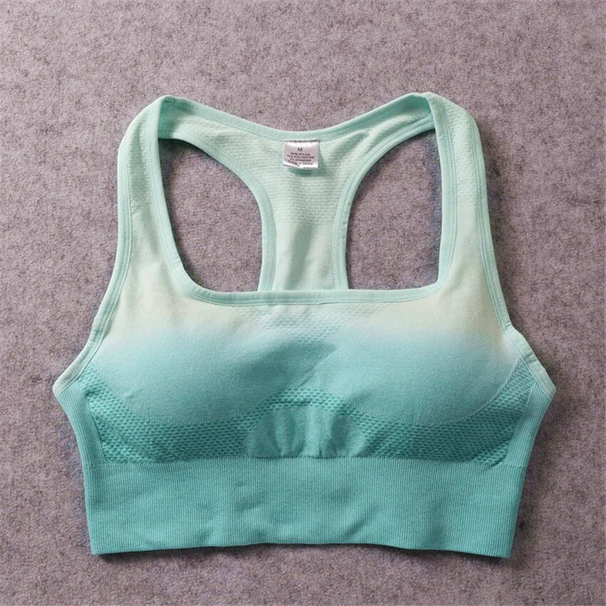 Luxe Aura Ombre Sports Bra Top