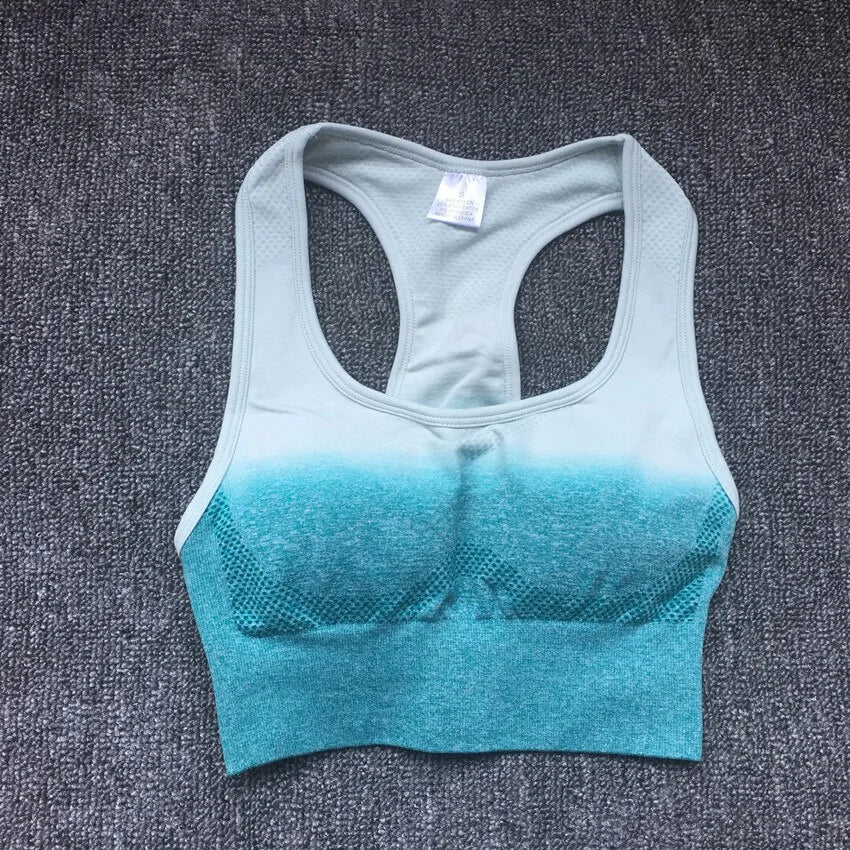 Luxe Aura Ombre Sports Bra Top